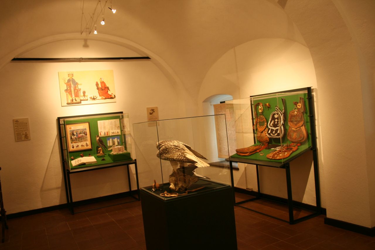 Blick in die Ausstellung (© Greifvogelzentrum Schloss Waldreichs)